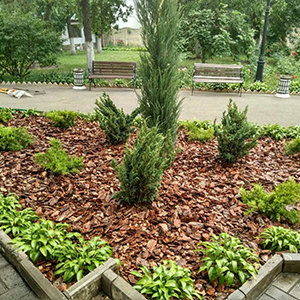 Хвойная мульча в Тюмени купить - оперативная доставка по всей России
