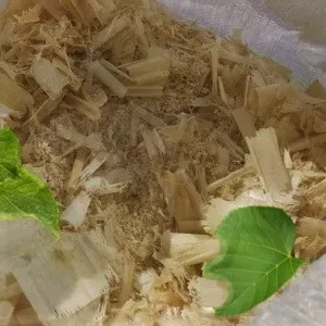 Лиственные опилки оптом в Тюмени от завода-производителя Лигнум Ресурс