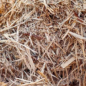 Щепа для арболита оптом в Тюмени и других различных марок заказать от 16 тонн